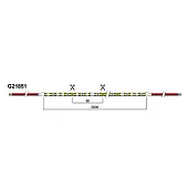Светодиодная лента SMD2835, 24V, 5мм лента светодиодная gls 5мм, 10вт/м 5м, 24v, 3000к теплый, ip20