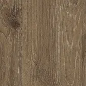 Столешницы ДСП EGGER столешница дуб давос трюфель, egger 1u 38, 600, 4100