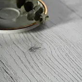 Коллекция Duco2 noel oak, мебельная плита slotex duco 2440 х1830 х18 мм