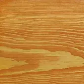 Масла для дерева Prostocolor пробник масло для террас prostocolor, цвет лиственница, 0,04л